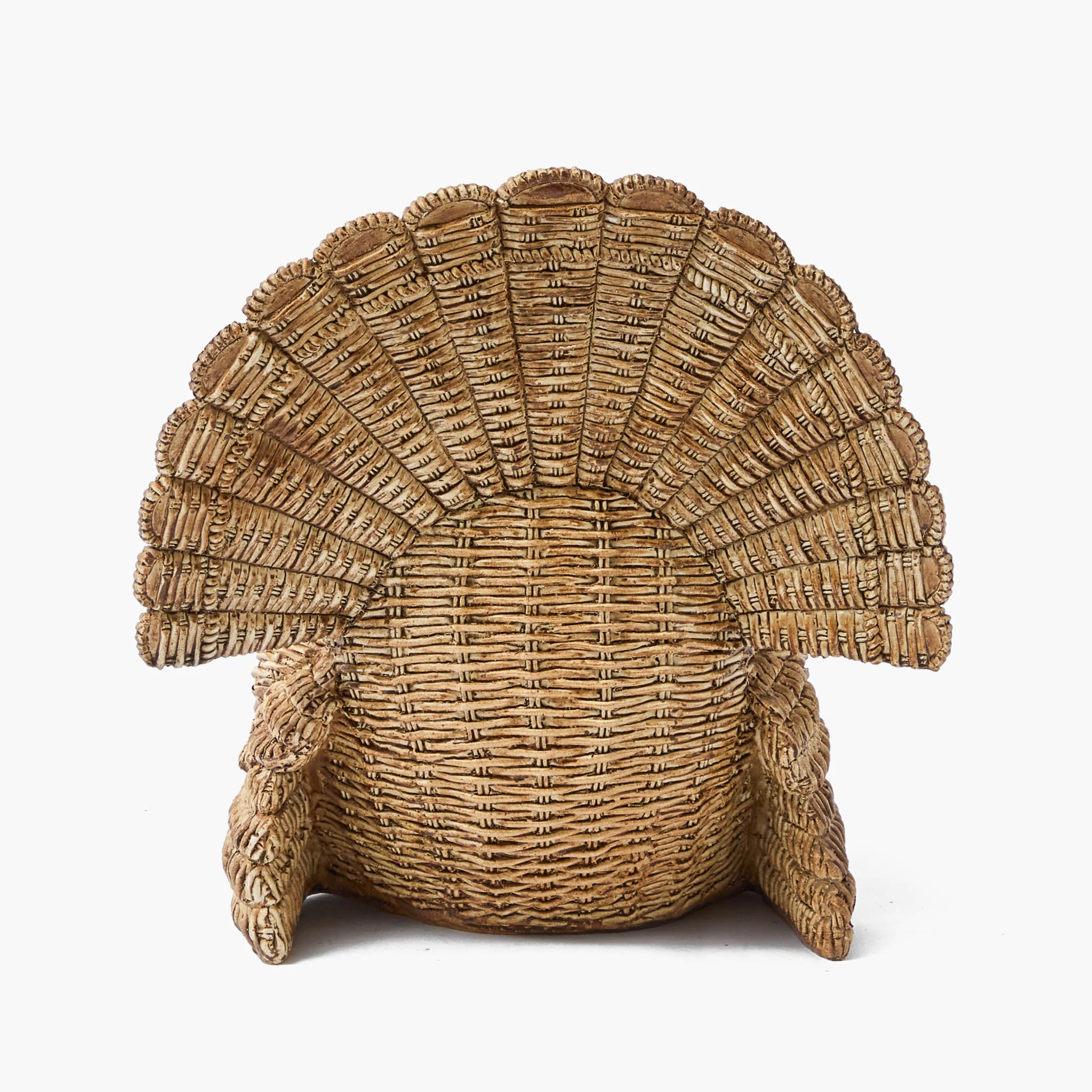 Tom the Turkey - Image 10